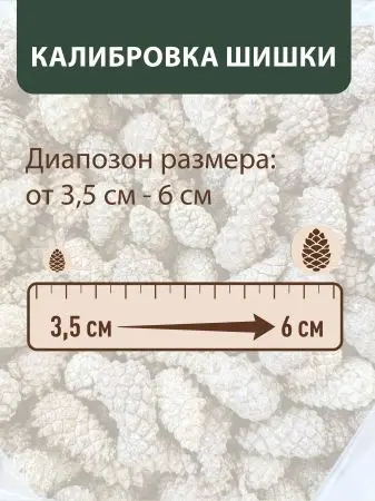 Мульча для сада из шишек целых 5 кг