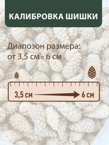 Мульча для сада из шишек целых 5 кг